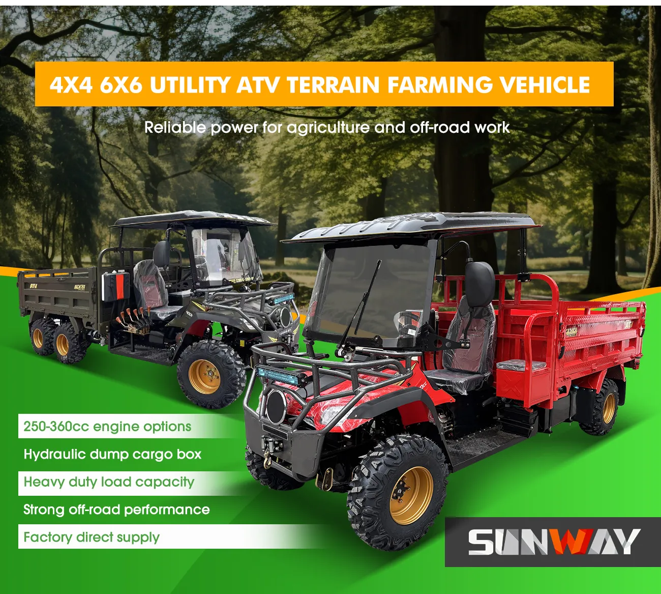 9aa69b1335ae4fafa702a00ee3bccf91 02