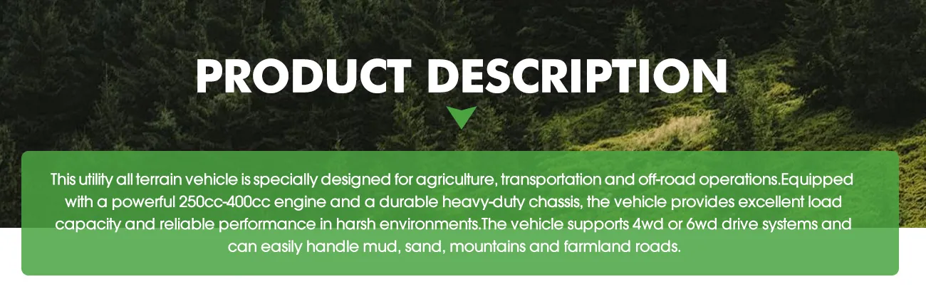 9aa69b1335ae4fafa702a00ee3bccf91 03