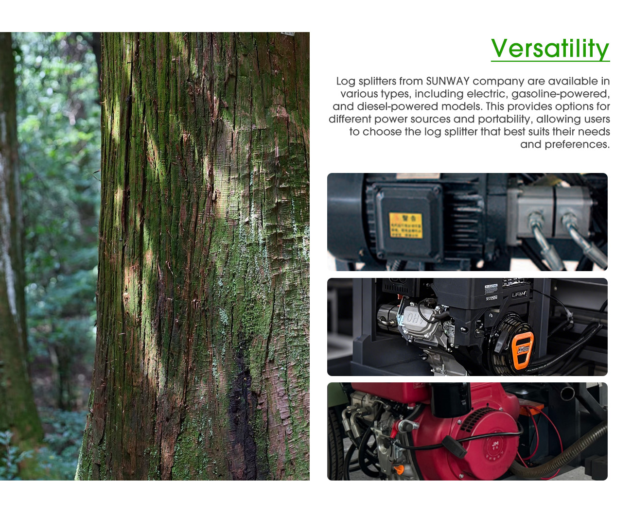 effc55699ae03cabdbf968adb9e8249b 08